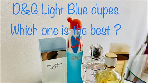 dolce and gabbana light blue dupe|d&g light blue notes.